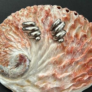 ✨Host Pick✨Boho Sterling Silver Wave Earrings 925